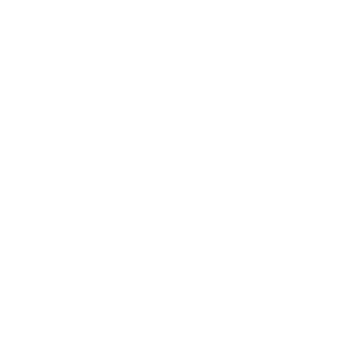 Security Gates and Turnstiles